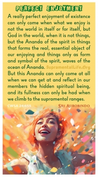 Perfect Enjoyment of Existence 2.jpg